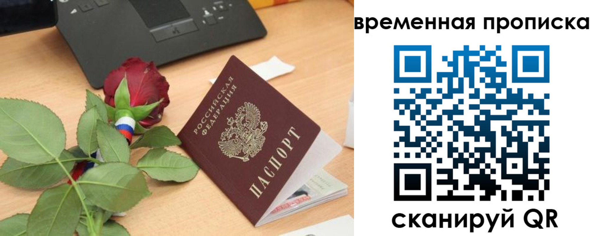 временная регистрация поиск в Струнино
